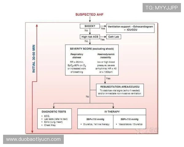 全面解析明升体育中国官网的注册流程与安全保障措施指南