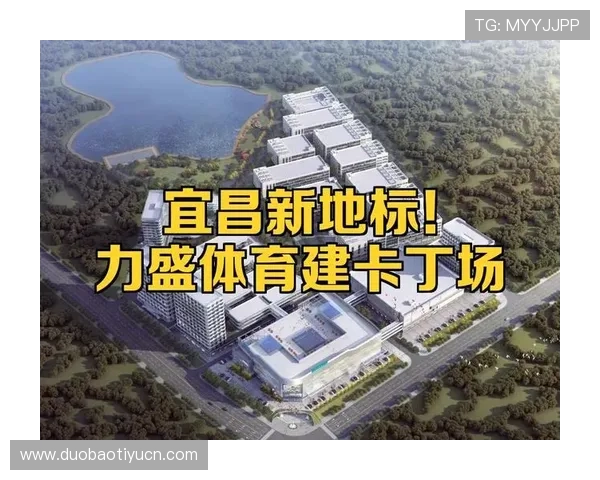 力盛体育全面解析:打造专业运动装备的领先品牌与发展战略